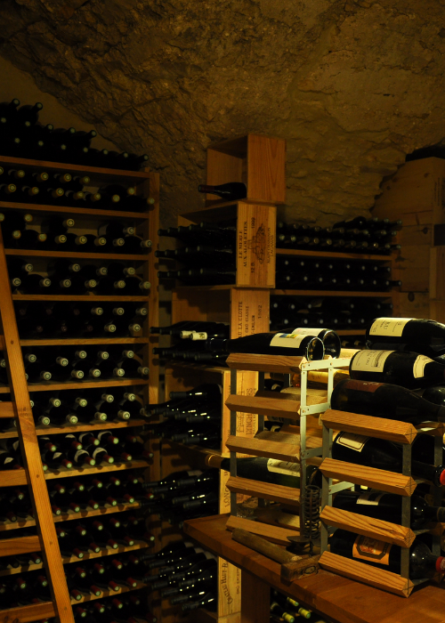 5 buoni motivi per acquistare su Vins et Millésimes